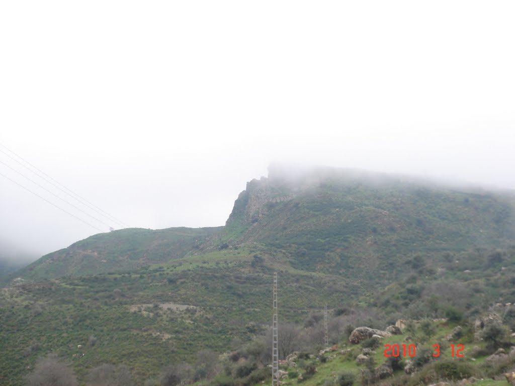 Les plus beaux endroits de Taouzient