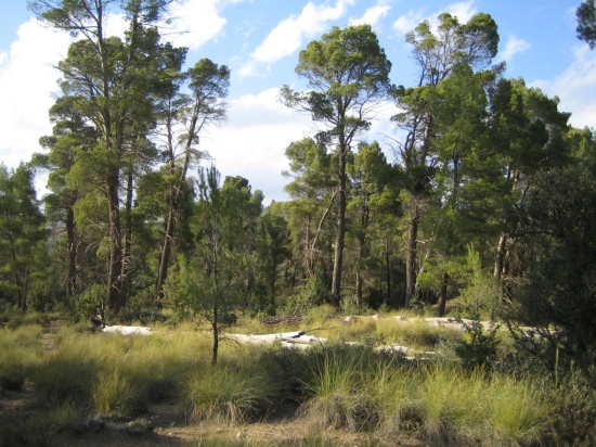 Les plus beaux endroits de M'sara Khenchela