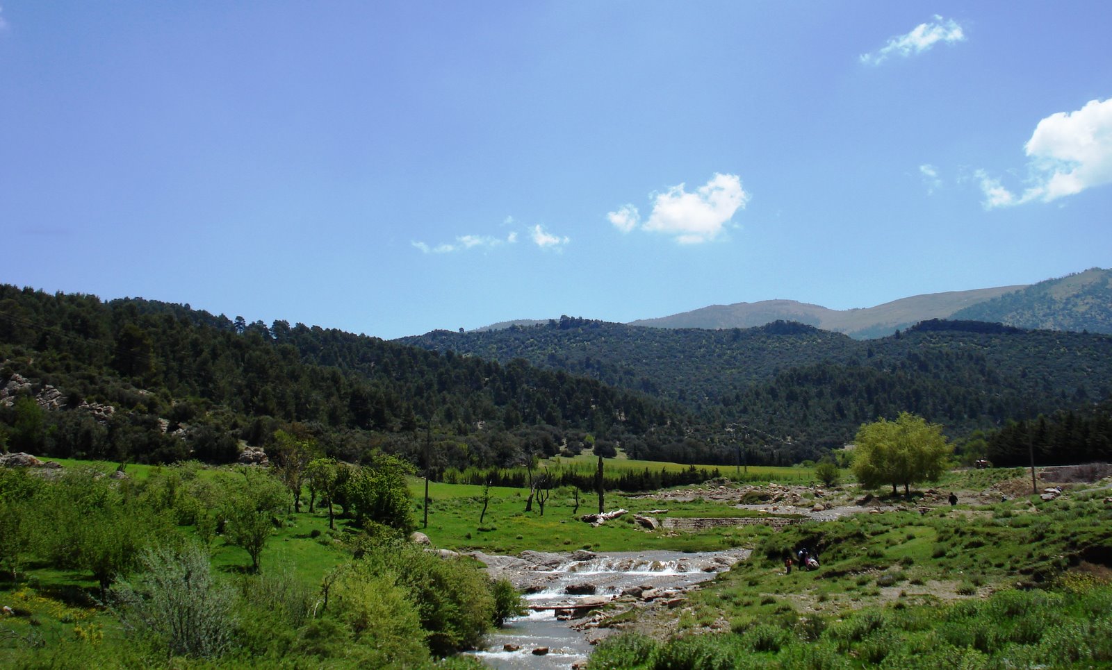 يابوس  بلدية  سياحية  وفلاحية خاصة انتاج الفواكه .المكان هو بولزازن بالضبط مزرعة الشيخ زراولية الهادي