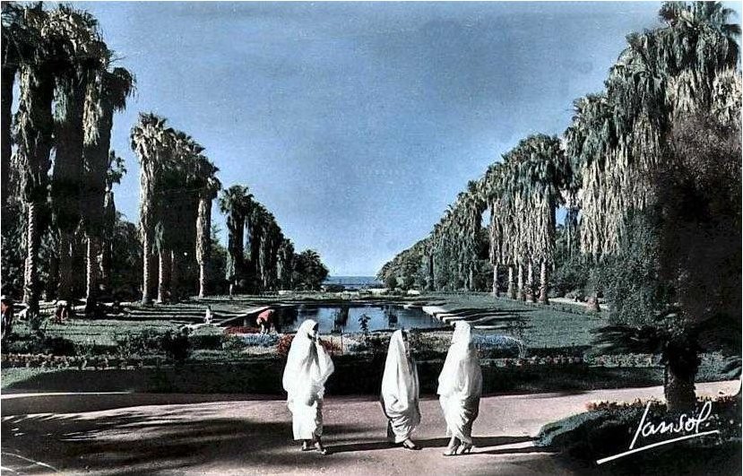 Ancienne photo d'Alger  Jardin d'essai