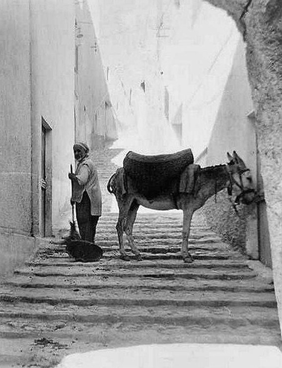 Ancienne photo d'Alger  La Casbah