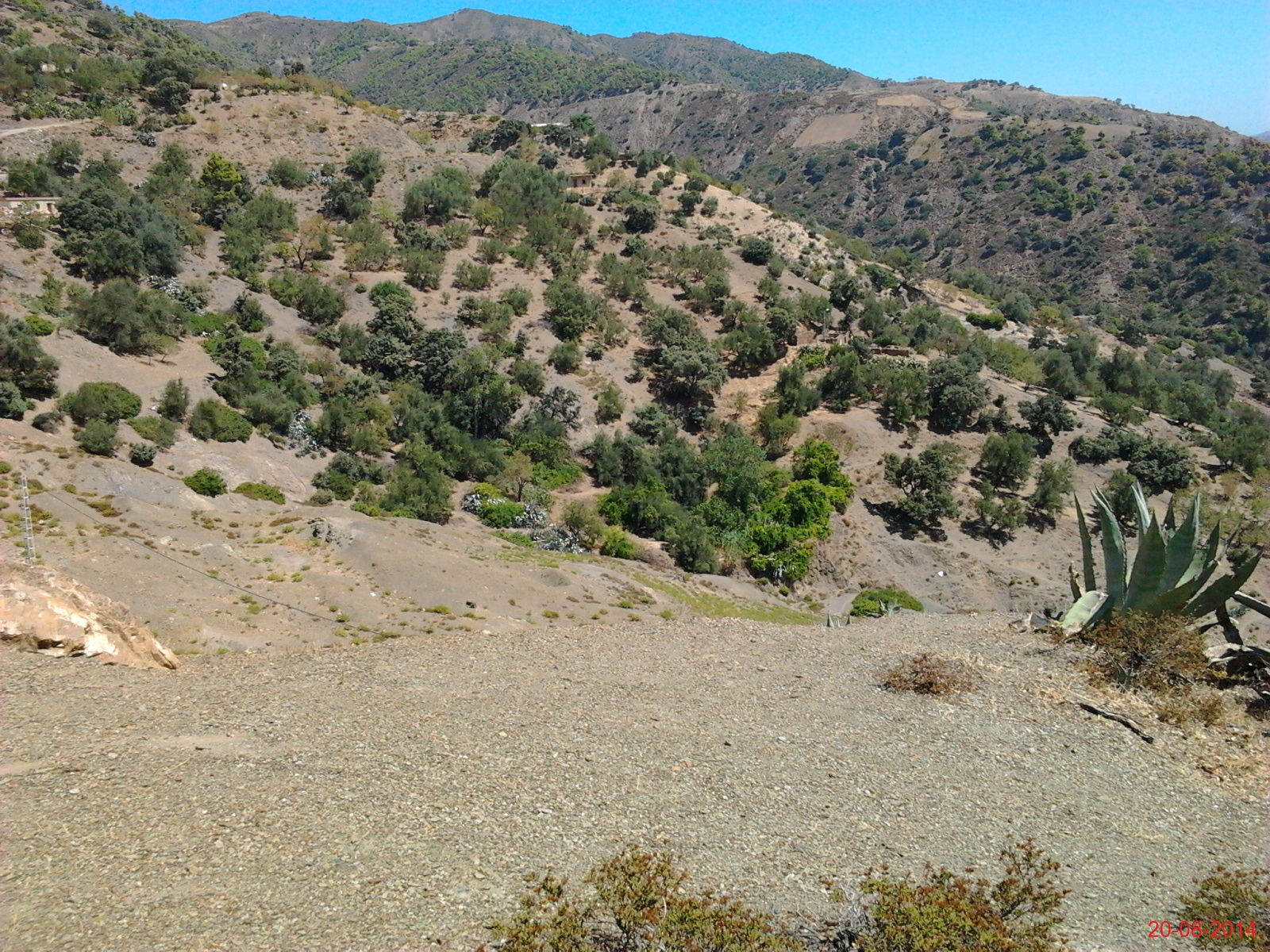 CES ENDROITS  QUI ME FONT RAPPELER  MON ENFANCE