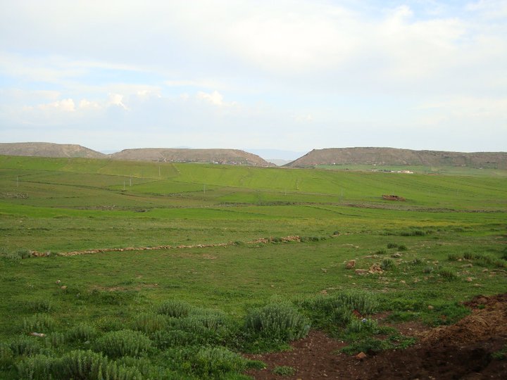 Marjat Yabous en plein printemps