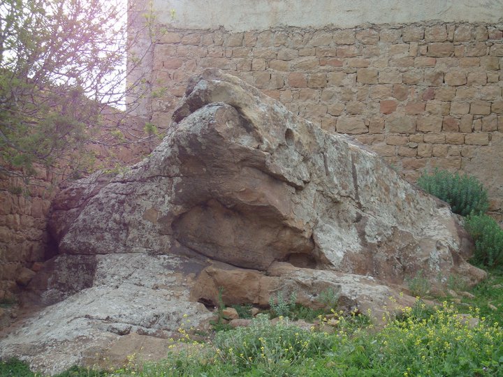 La pièrre  en forme de grenouille à Ain Lamghat  Yabous