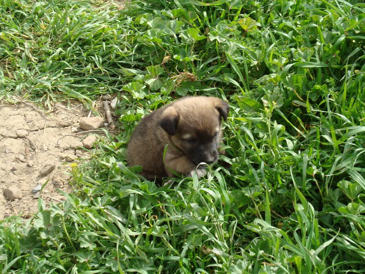 يابوس في فصل الربيع مناظر لا مثيل لها