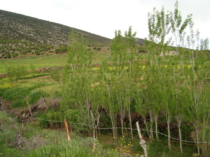 يابوس في فصل الربيع مناظر لا مثيل لها