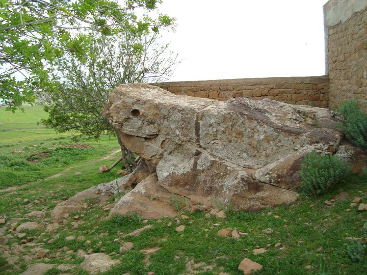 الصخرة على صورة ضفدع سبحان الله الكائنة بعين لمغط يابوس