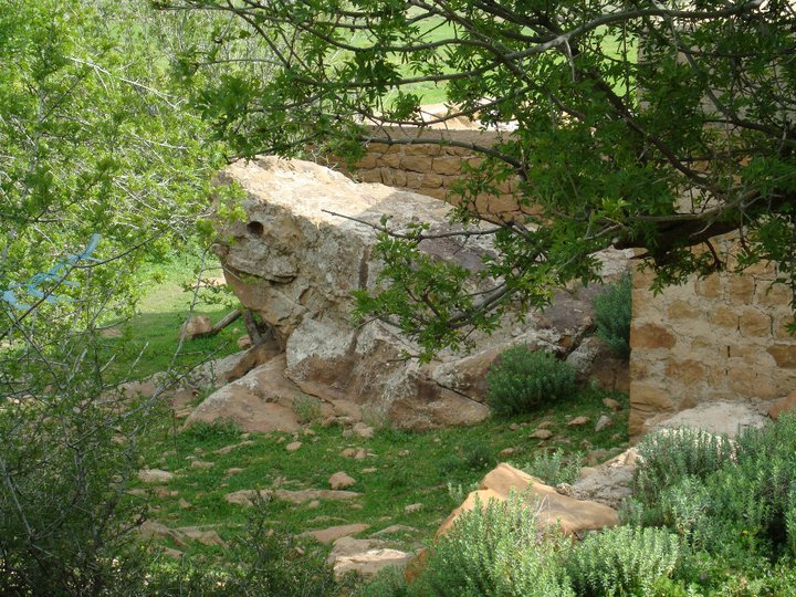 الصخرة على صورة ضفدع سبحان الله الكائنة بعين لمغط يابوس