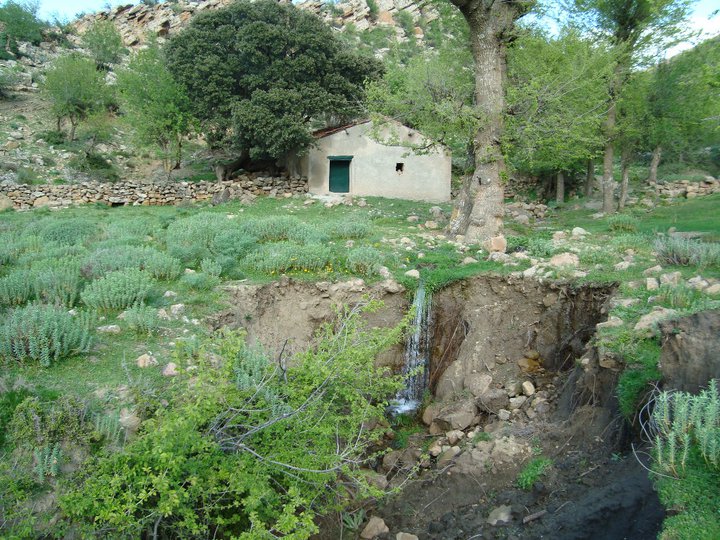 زاوية لحصارة بيابوس