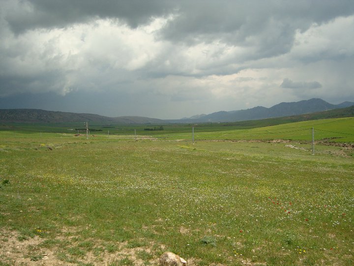 يابوس في فصل الربيع مناظر لا مثيل لها