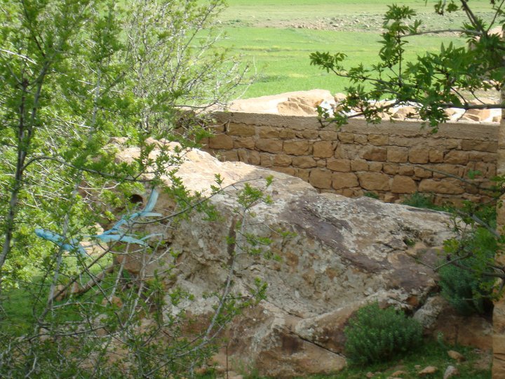 La pierre  en forme de grenouille à Ain Lamghat  Yabous