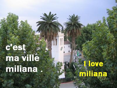 Miliana -  Une victoire de la commune sur le commerce informel