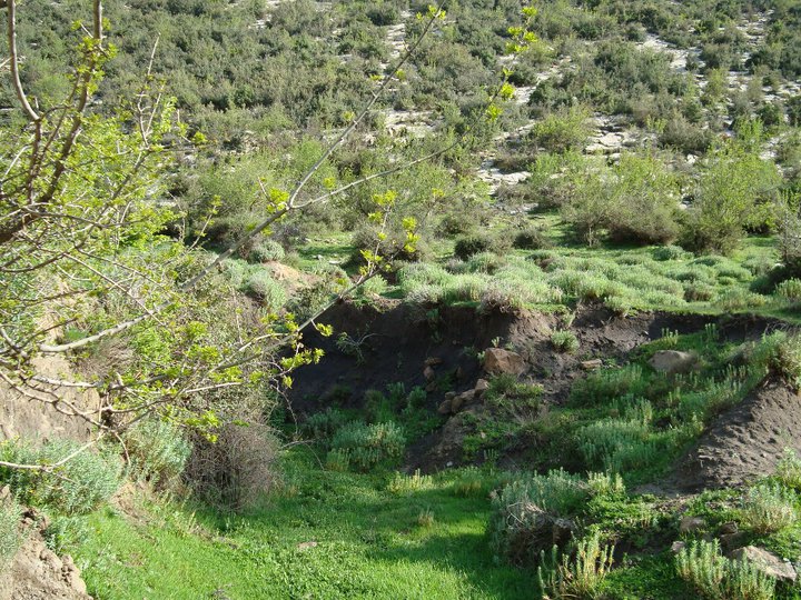 Yabous Wilaya de Khenchela