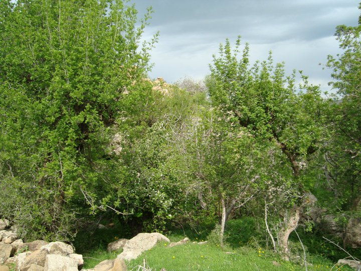 Le tourisme rural à Yabous
