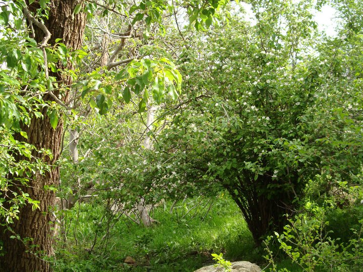 Le tourisme rural à Yabous
