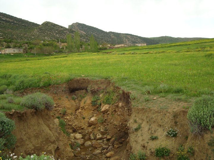 Le tourisme rural à Yabous
