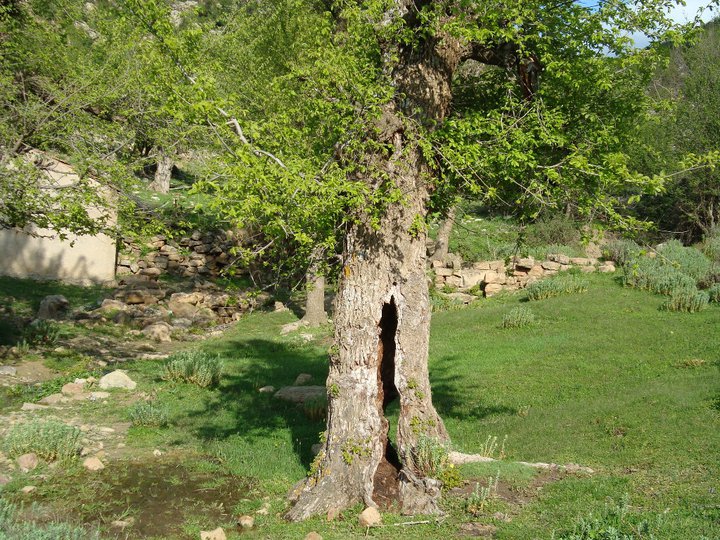 Le tourisme rural à Yabous