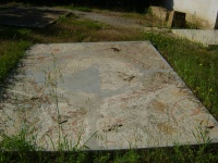 La Mosaïque de la  Basilique Saint Reparatus à Chlef