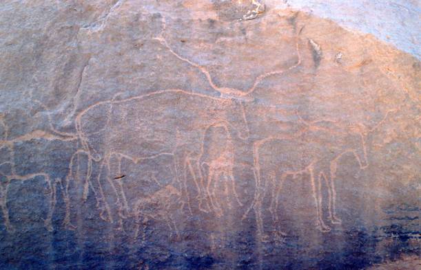 Dessins rupestre d'El Hasbaia à Lagouat