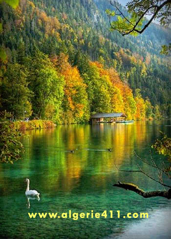 À tous une belle première journée d'automne !