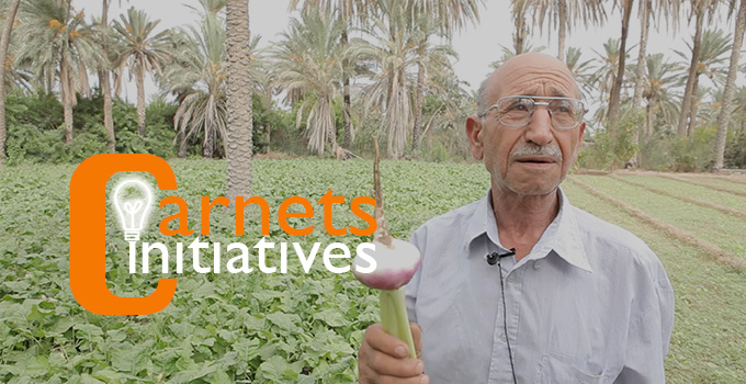 Maghreb - Tunisie: Passer du conventionnel au bio 