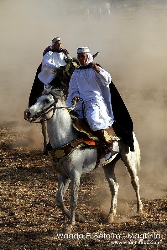 Beaux cavaliers à la Waada El B'taïm (tiripem) à Maghnia, Wilaya de Tlemcen.