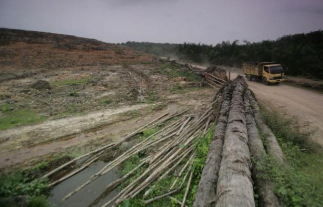 Planète - Des lauréats du Nobel sonnent l'alarme sur l'état de la planète