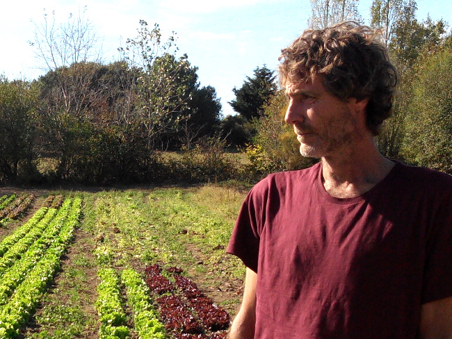 Planète - Ceux qui font le monde d’après: Loïc Le Borgne, maraîcher bio
