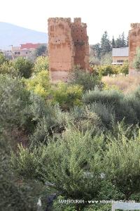 Tlemcen - Restes de la muraille de la cité mérinide  Al Mansourah