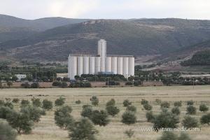 Silos à grains ERIAD - Commune de Ain Fezza (Tlemcen)
