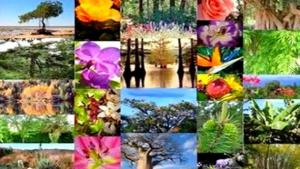 Algérie - Mise à jour de la stratégie et du plan national de biodiversité