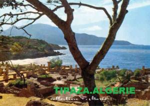 tipaza ruine romaine