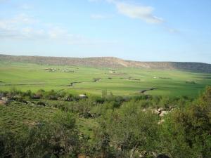 وقفت امام منظر طبيعي بيابوس ولاية خنشلة