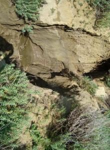 وقفت امام منظر طبيعي بيابوس ولاية خنشلة