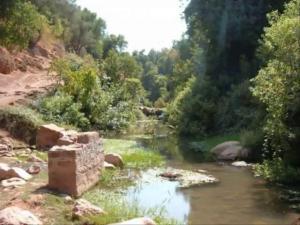 وقفت امام منظر طبيعي بيابوس ولاية خنشلة