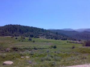 وقفة امام منظر طبيعي بيابوس ولاية خنشلة