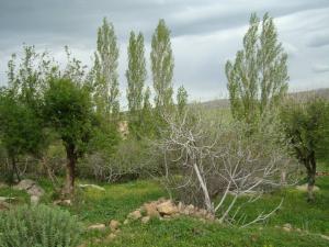 Yabous et la saison du printemps.