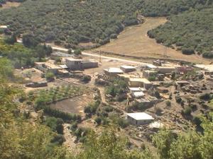 Yabous en plein printemps.