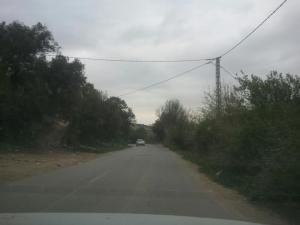 Yabous en plein printemps.