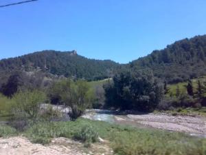 Yabous en plein printemps.