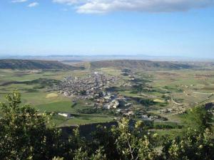 Yabous en plein printemps.