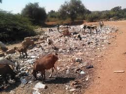 Algérie - Déchets ménagers: Suez candidat à la délégation de gestion