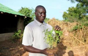 Afrique - Mali: Oumar Diabaté, vétérinaire fermier et pionnier de l'agroécologie