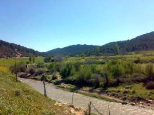 Belle Nature au Printemps A YABOUS   .W. KHENCHELA