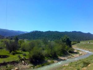 Belle Nature au Printemps A YABOUS   .W. KHENCHELA