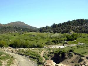 Belle Nature au Printemps A YABOUS   .W. KHENCHELA