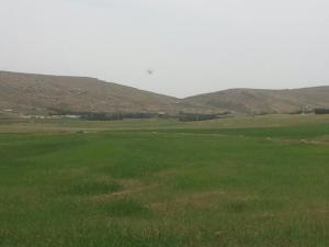 يابوس في فصل الربيع