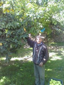 الحاج مجيد زروال ابن ملوجة المجاهدة