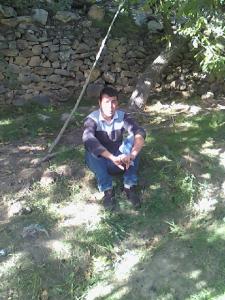 Zéroual Hacène le jeune ingénieur   pendant la cueillette des pommes à Meloudja