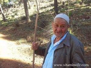 Rencontre avec un vieil homme  Fôret du petit perdreau du coté de Sidi Abdellah El Baal vers El Ourit